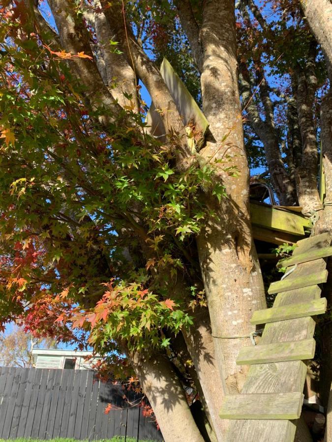 Moore St Cottage أوهاكيون المظهر الخارجي الصورة